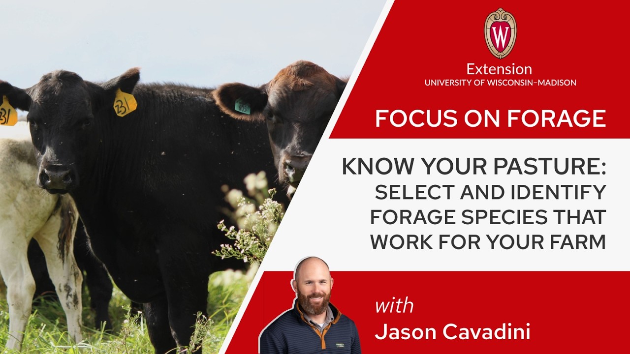 Know Your Pasture-Select and Identify Forage Species that Work for Your Farm with Jason Cavadini