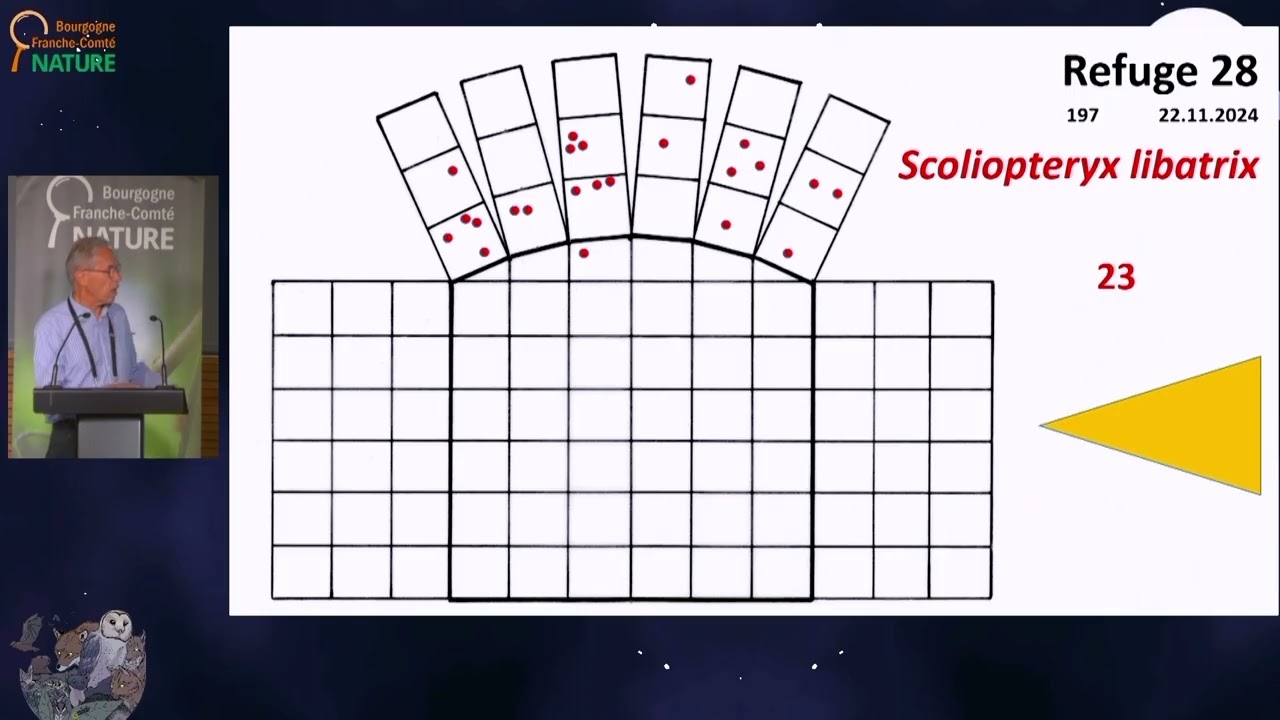 La Lumière, facteur déterminant de la distribution des Lépidoptères [...] - Patrice NOTTEGHEM