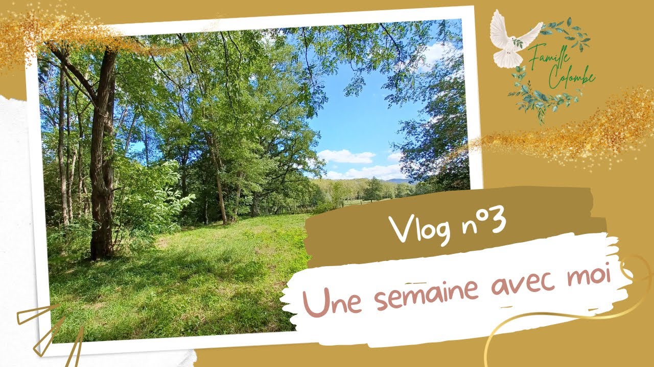 Programme de la semaine abattage d'arbres, rivière, radio - Épisode 3