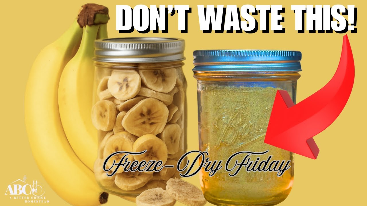 The Banana Freeze-Dry You Didn’t Know You Needed