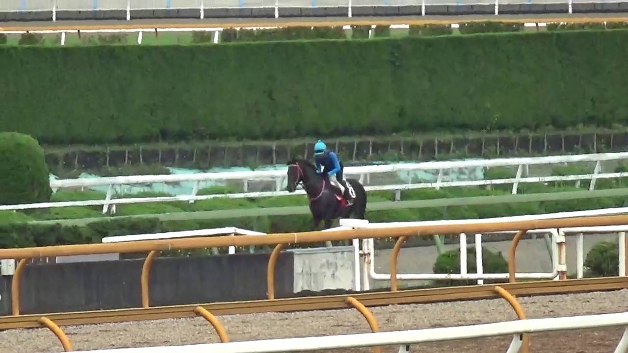 ステイウェル060629 2