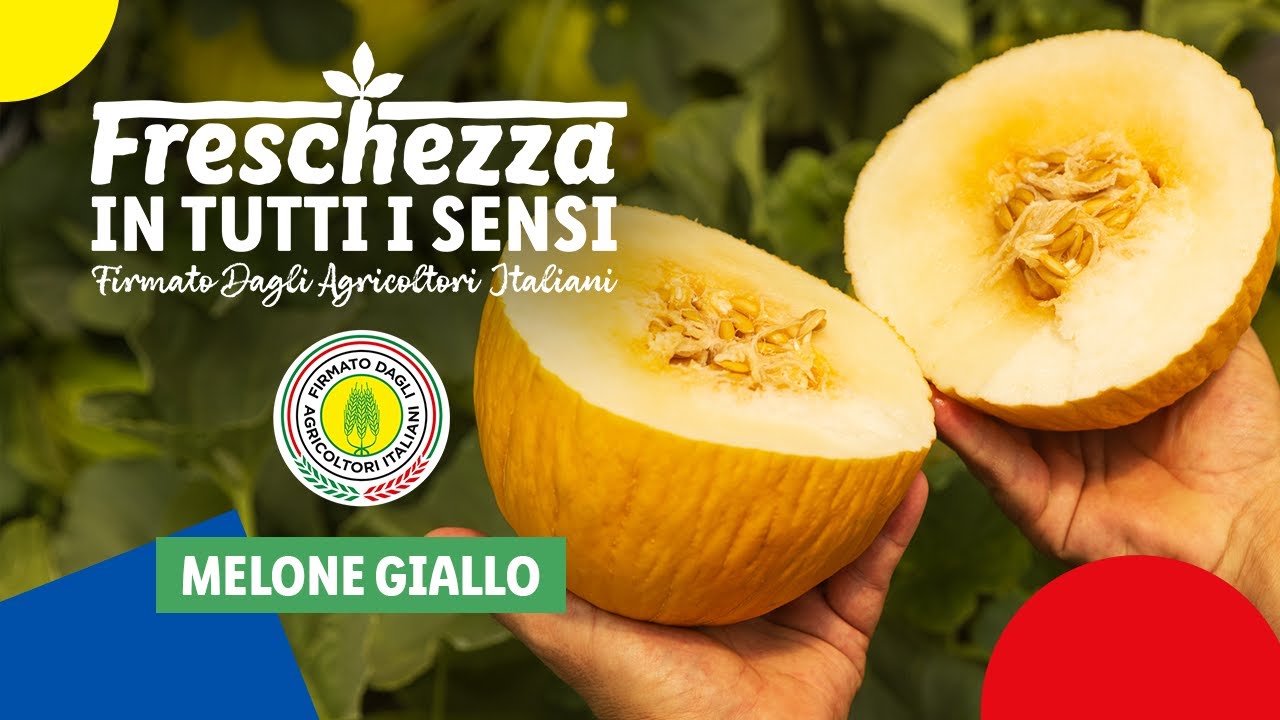 Melone giallo | Freschezza in tutti i sensi | Lidl Italia