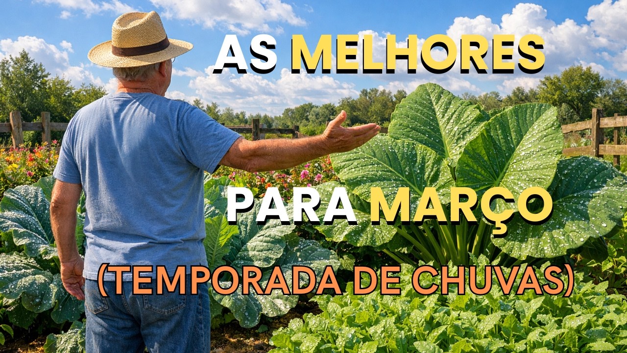 Hortaliças e Leguminosas Perfeitas pra Março(Calor e Chuva)
