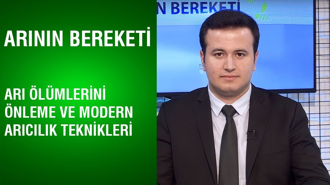 Arının Bereketi | Arı Ölümlerini Önleme Ve Modern Arıcılık Teknikleri