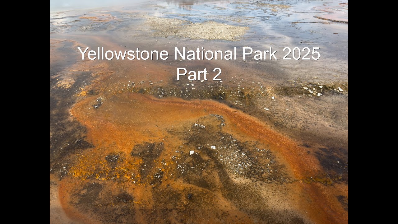 Yellowstone National Park 2025 Part 2