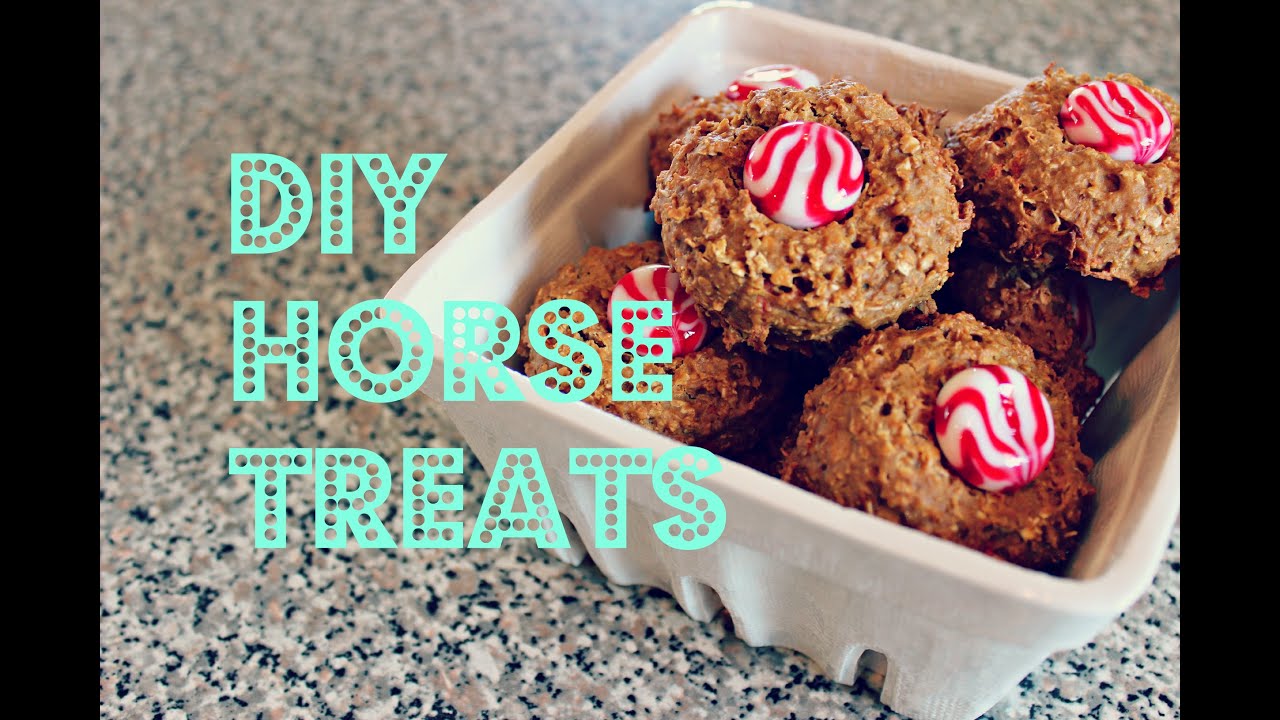 DIY | HORSE TREATS