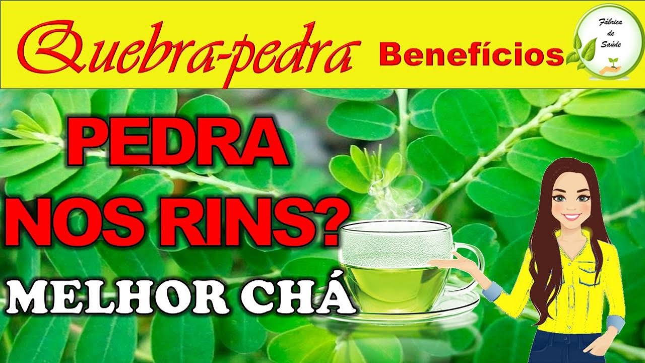 🍵 QUEBRA-PEDRA serve para qu&ecirc;? o melhor ch&aacute; para seus rins | Benef&iacute;cios do ch&aacute; de Quebra pedra