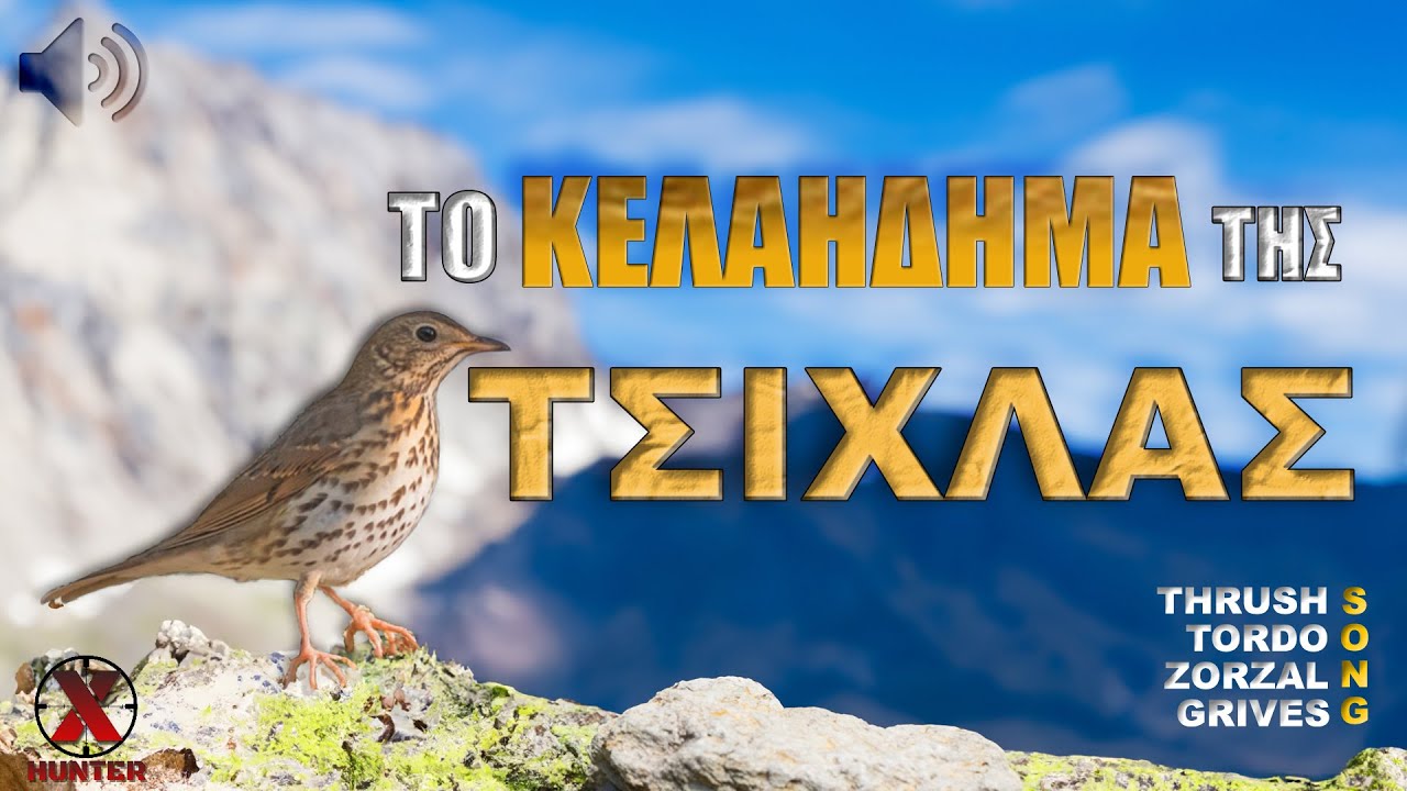 как поет молочница