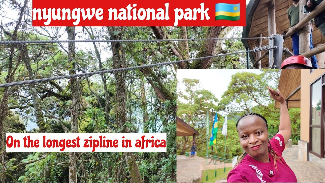 СЛЕЖЕНИЕ ЗА ГОРИЛЛАМИ В НАЦИОНАЛЬНОМ ПАРКЕ НЬЮНГВЕ||РУАНДА||#kigali #travel