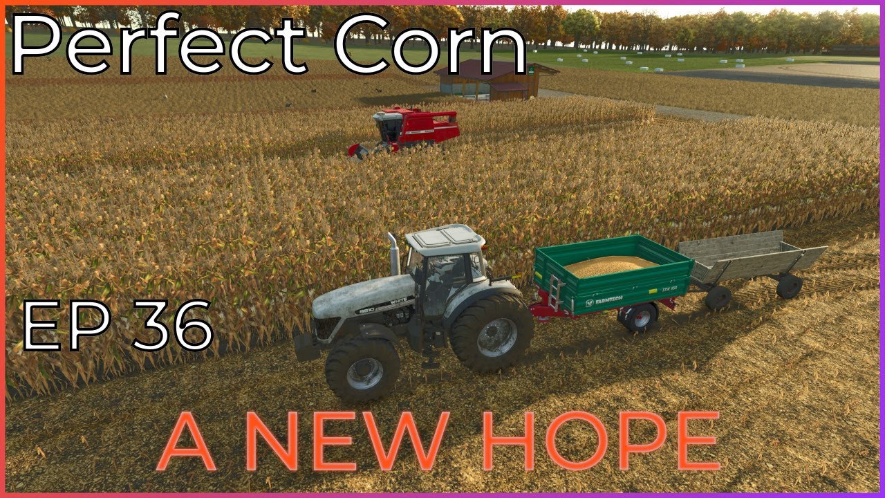 Окупится ли силос? || Новая надежда, эпизод 36 || Farming Simulator 25