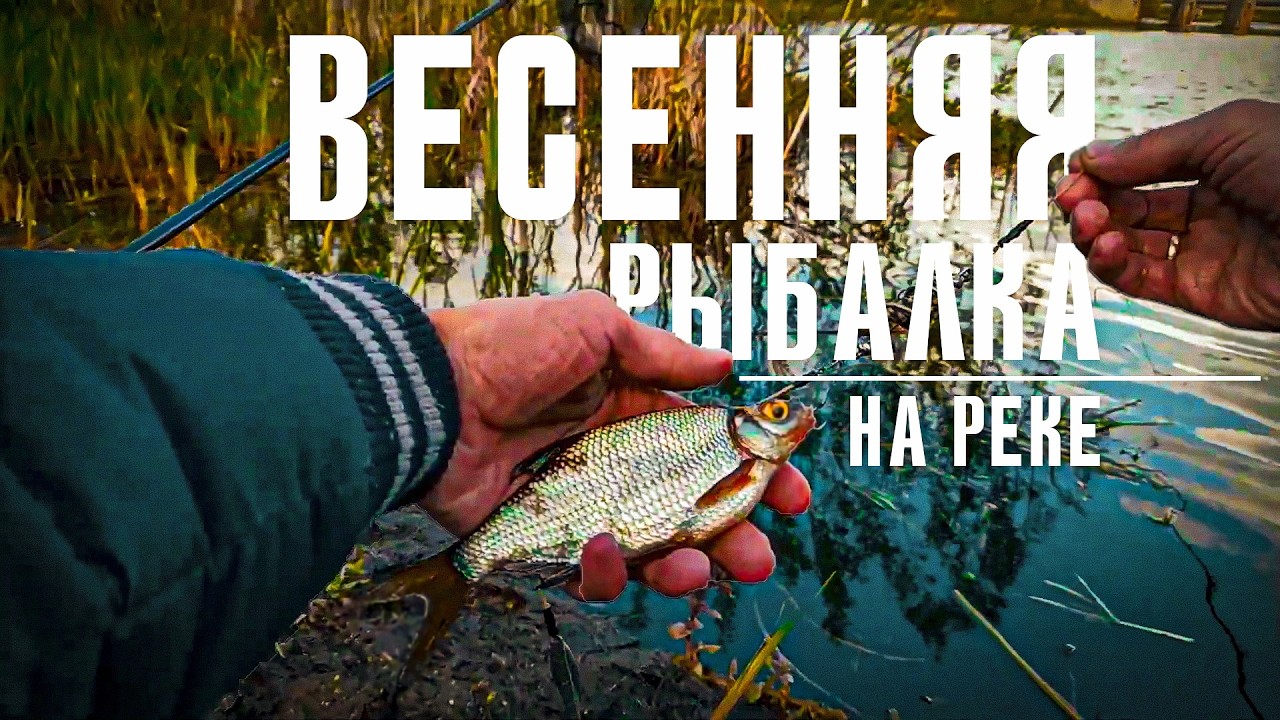 ВЕСЕННЯЯ РЫБАЛКА на РЕКЕ на КОРМАЧКИ. Spring fishing on the river with homemade feeder traps.