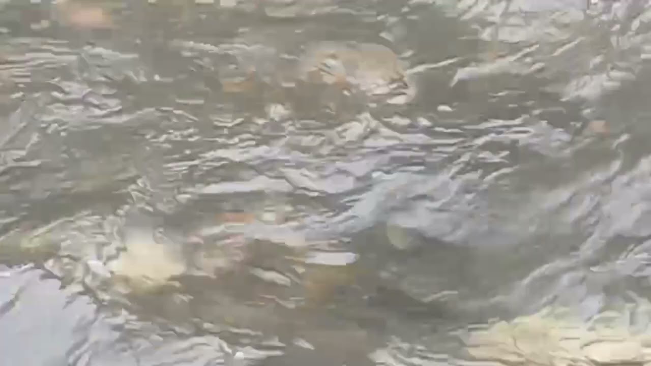 jedan za opuštanje2