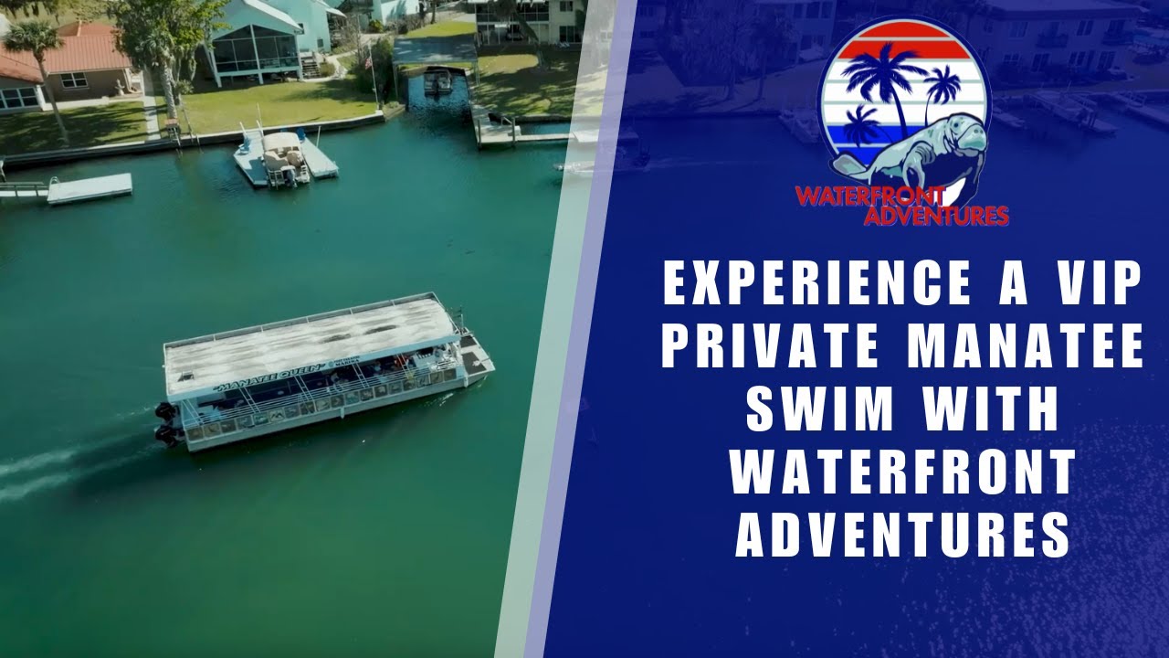 Experience A VIP Private Manatee Swim With Waterfront Adventures | Waterfront Adventures