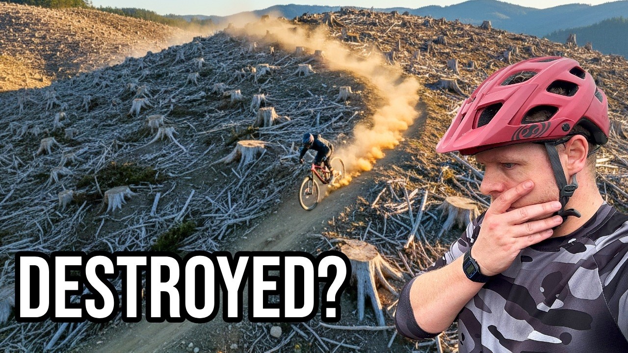 NATURAL SELECTION TRAILS at ONE PLANET ADVENTURE in Llandegla