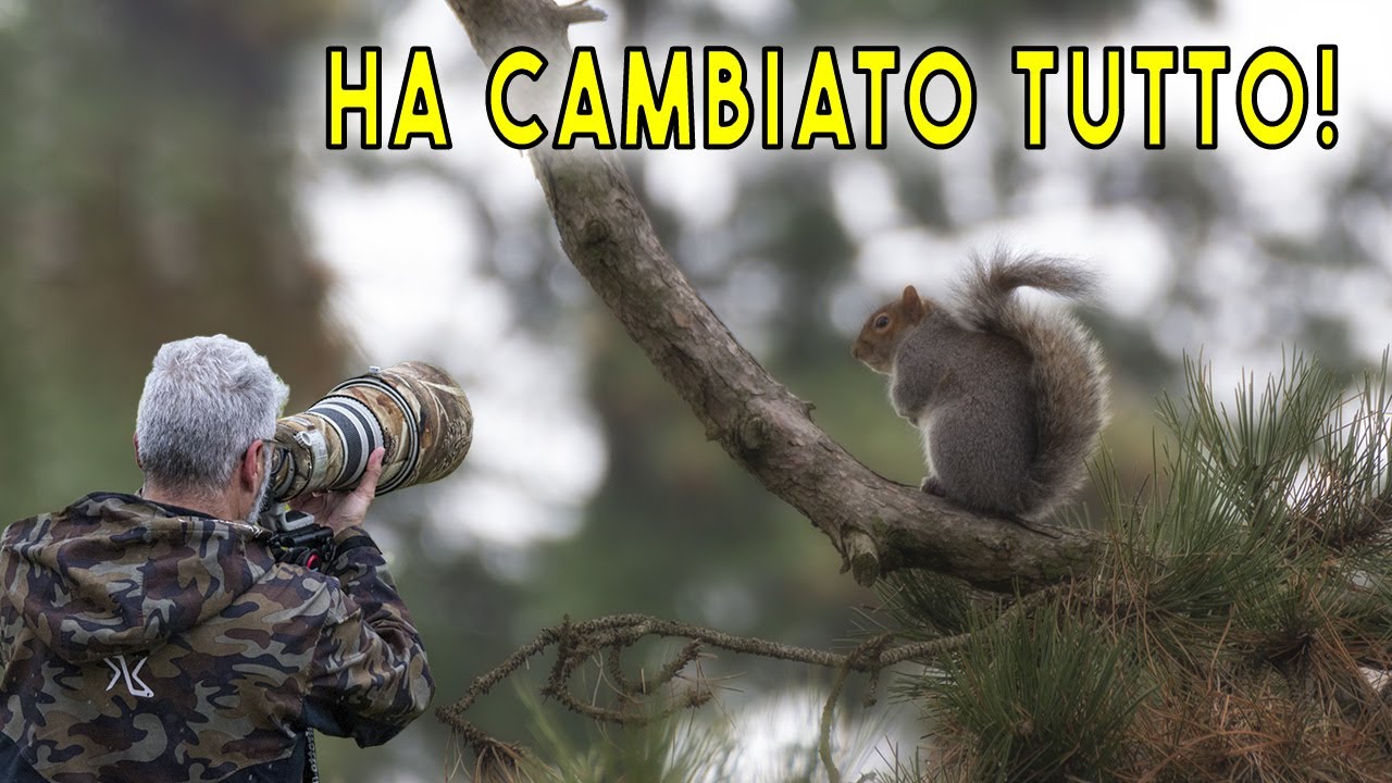 Fotografia naturalistica | Questa Foto Ha Cambiato Tutto