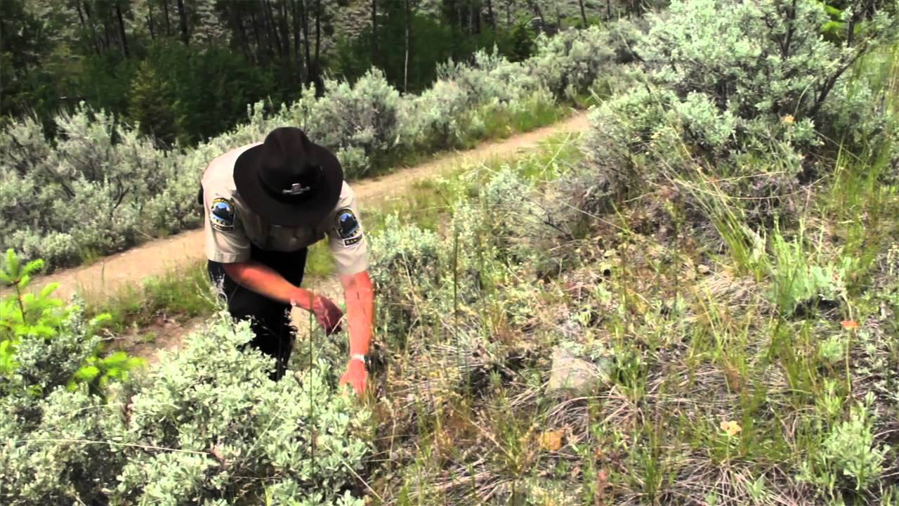 South Okanagan Grasslands - The Great Ranger Experience