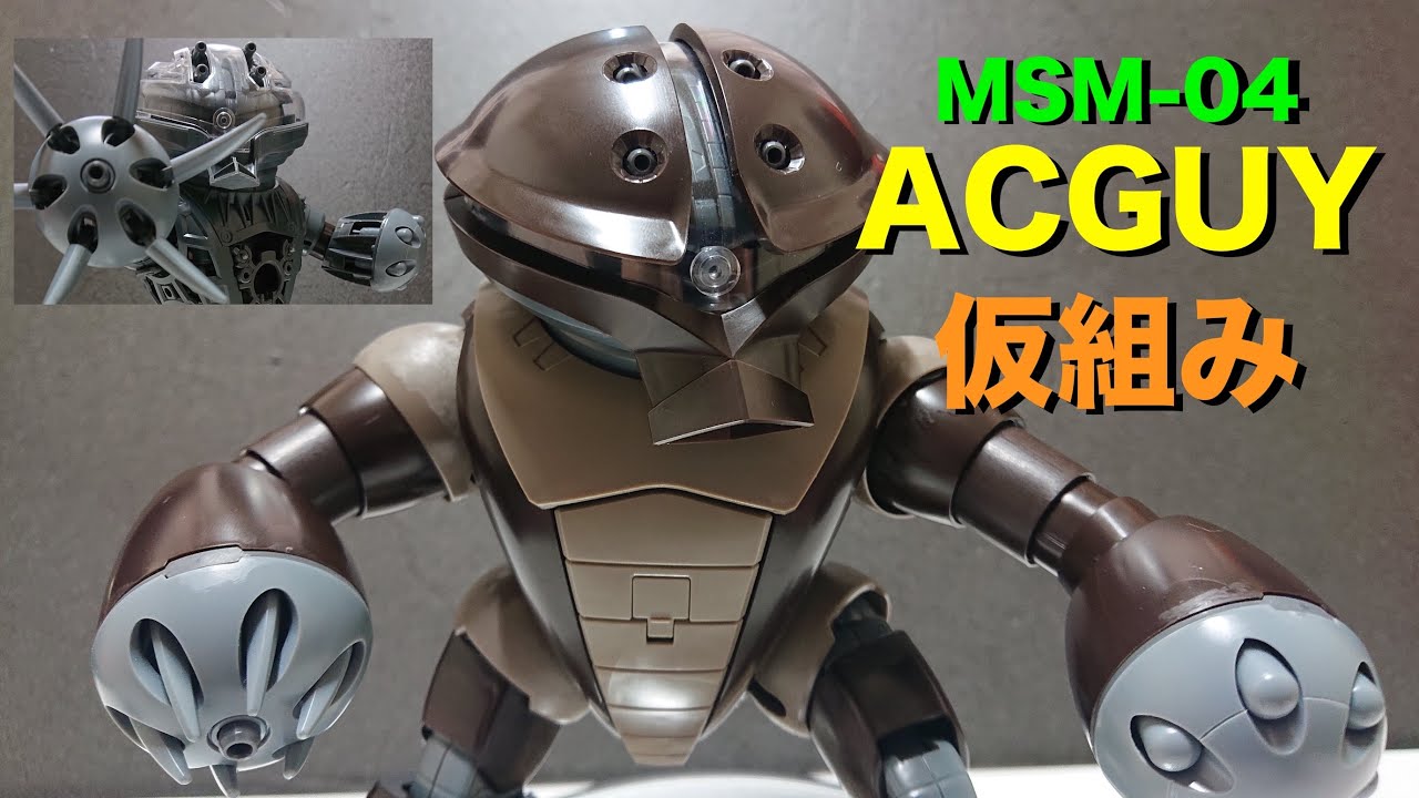 MG 1/100 MSM-04 ACGUY Part. 1 仮組
