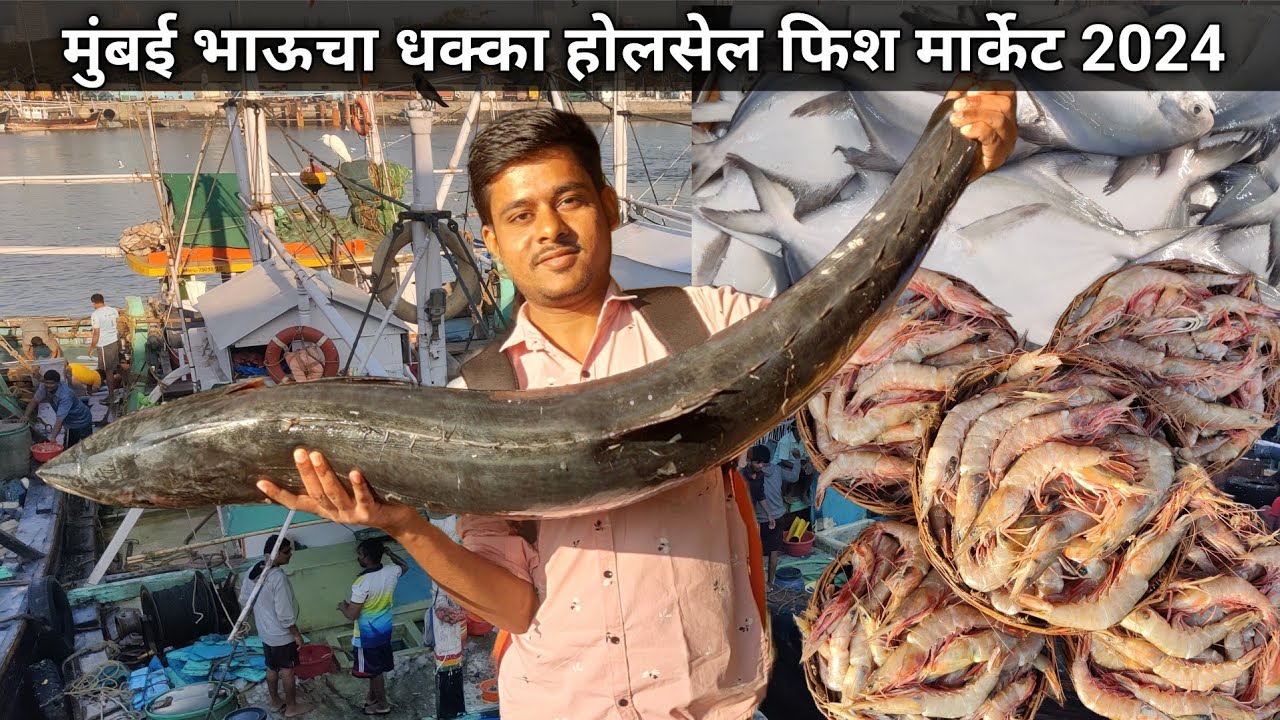 Bhaucha Dhakka Machhi Market | Bhaucha Dhakka Wholesale Fish Market | Mumbai Bhaucha Dhakka 2024