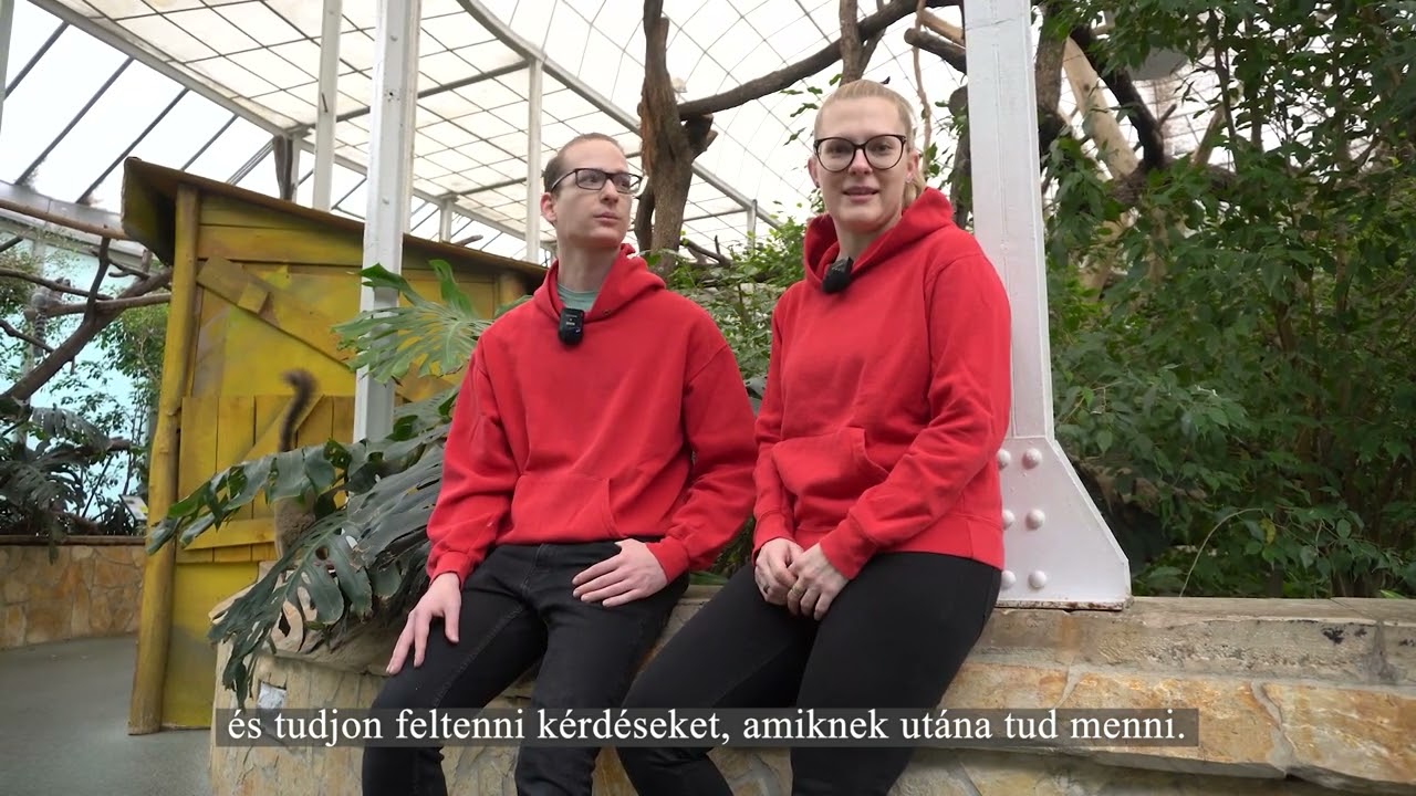 Kutat&oacute; zool&oacute;gus k&eacute;pz&eacute;s - Hallgat&oacute;ink &uuml;zenik felv&eacute;telizőknek