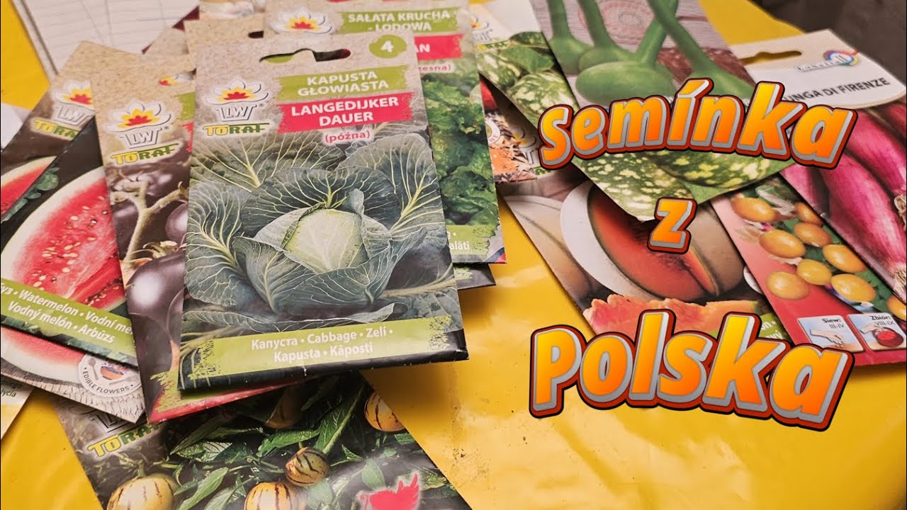 🌱 Semínka z Polska (Bambus, Pomeranč, Pepř..): Dostal jsem i speciální jahodu! 🍓 #výsev