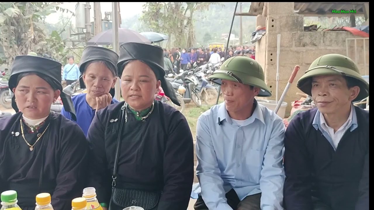 Các Anh chị đi chảy  hội gặp nhau hát sli giao lưu trai Thiện thuật gái quý Hòa hay quá #haohoahoi
