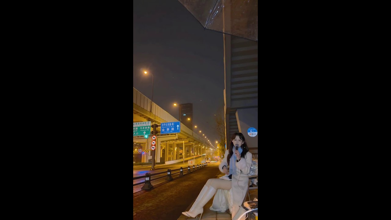 Street Food ASMR