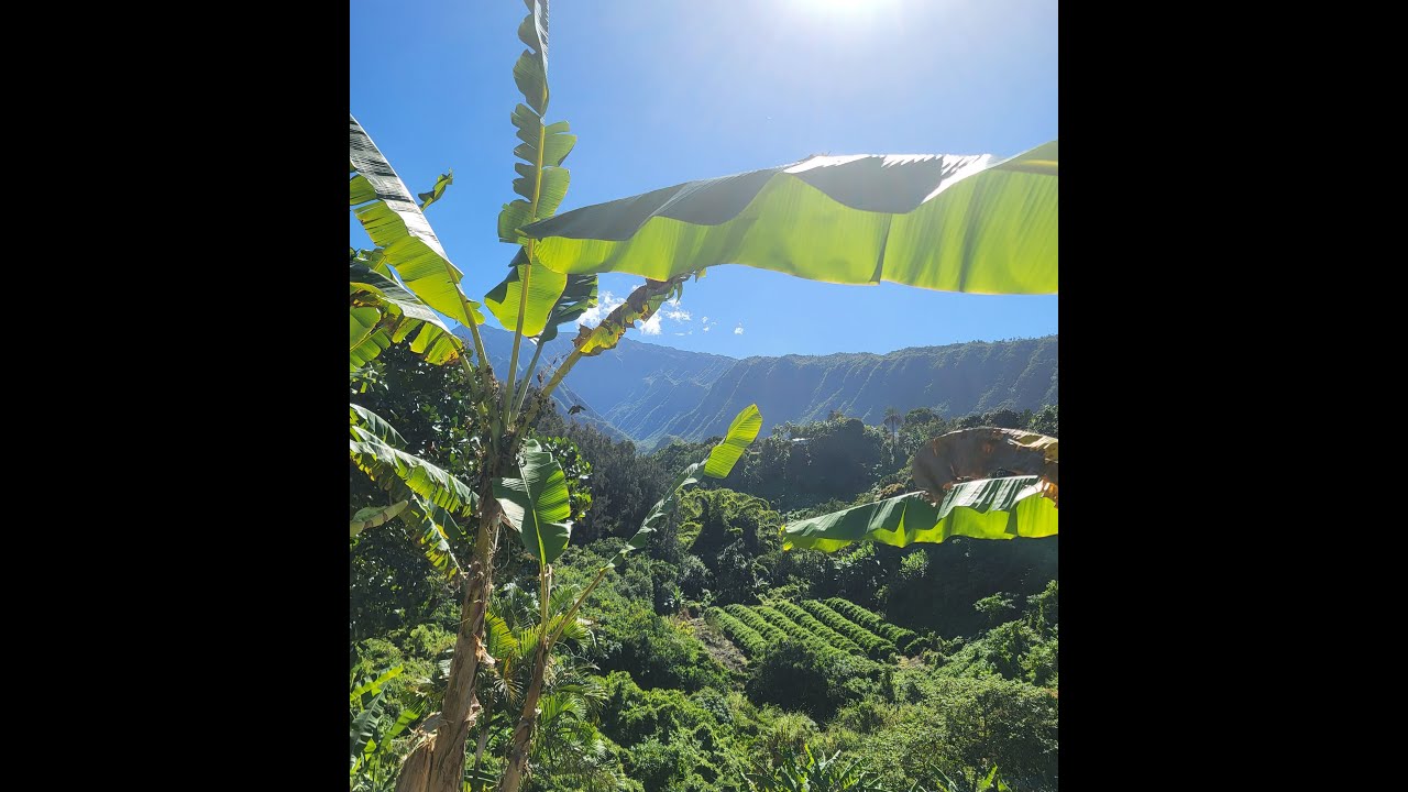 Randonnées à l'Entre Deux, île de la Réunion