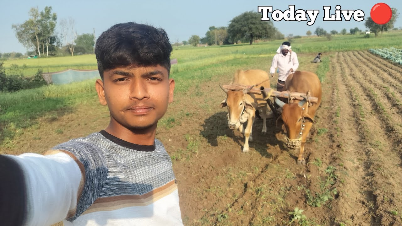Aaiye dikhata hu hamara khet aur thodi baatein karte hain 🔴Live