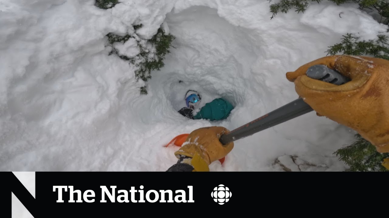 #TheMoment a snowboarder was rescued from a tree well