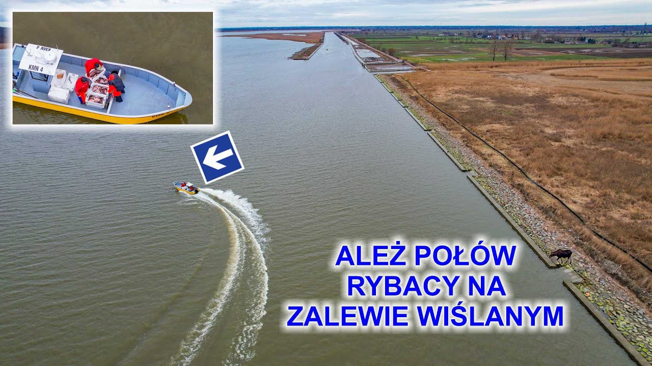 Udany połów rybaków na Zalewie Wiślanym - zobacz jakie okazy złowili.