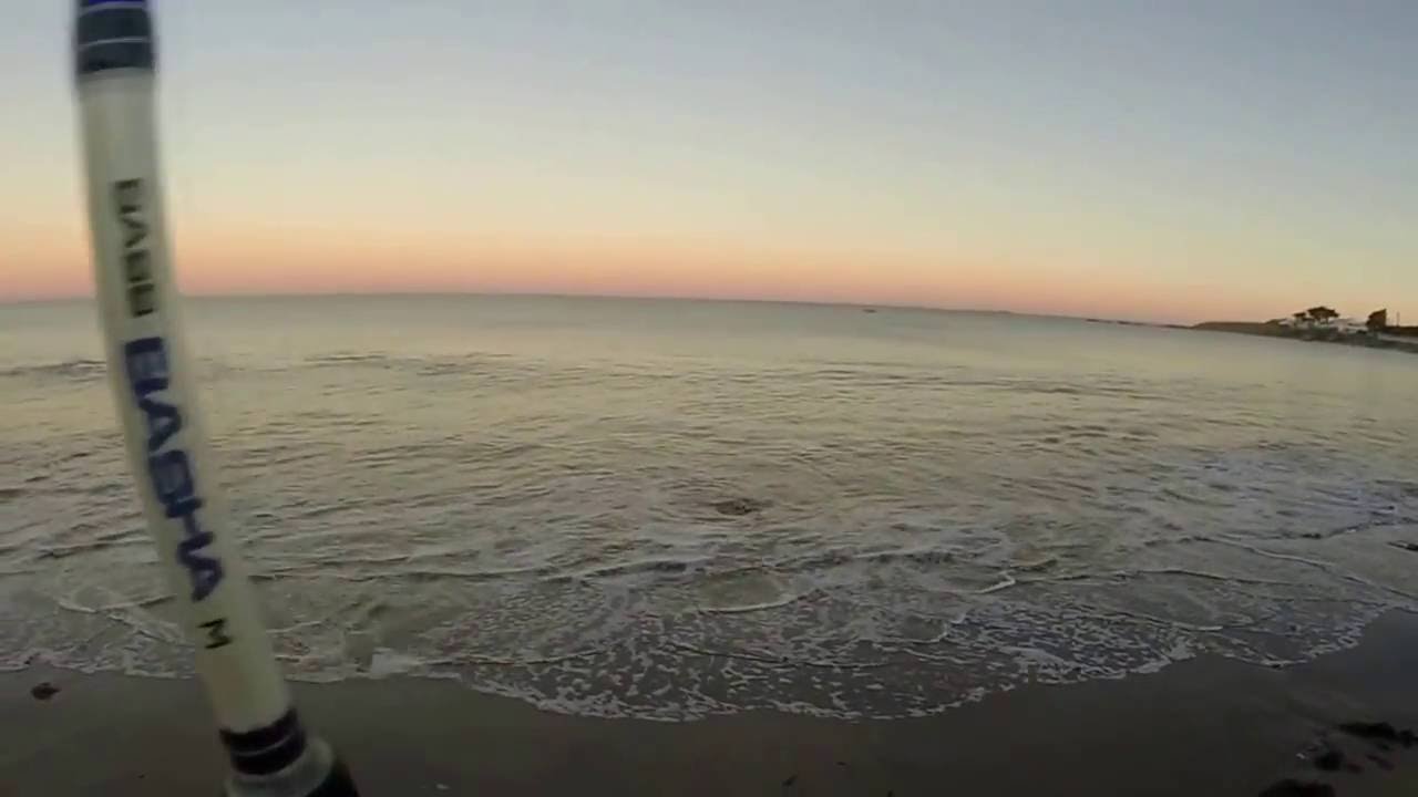 Pêche du bar au Blackminnow, un matin à Noirmoutier