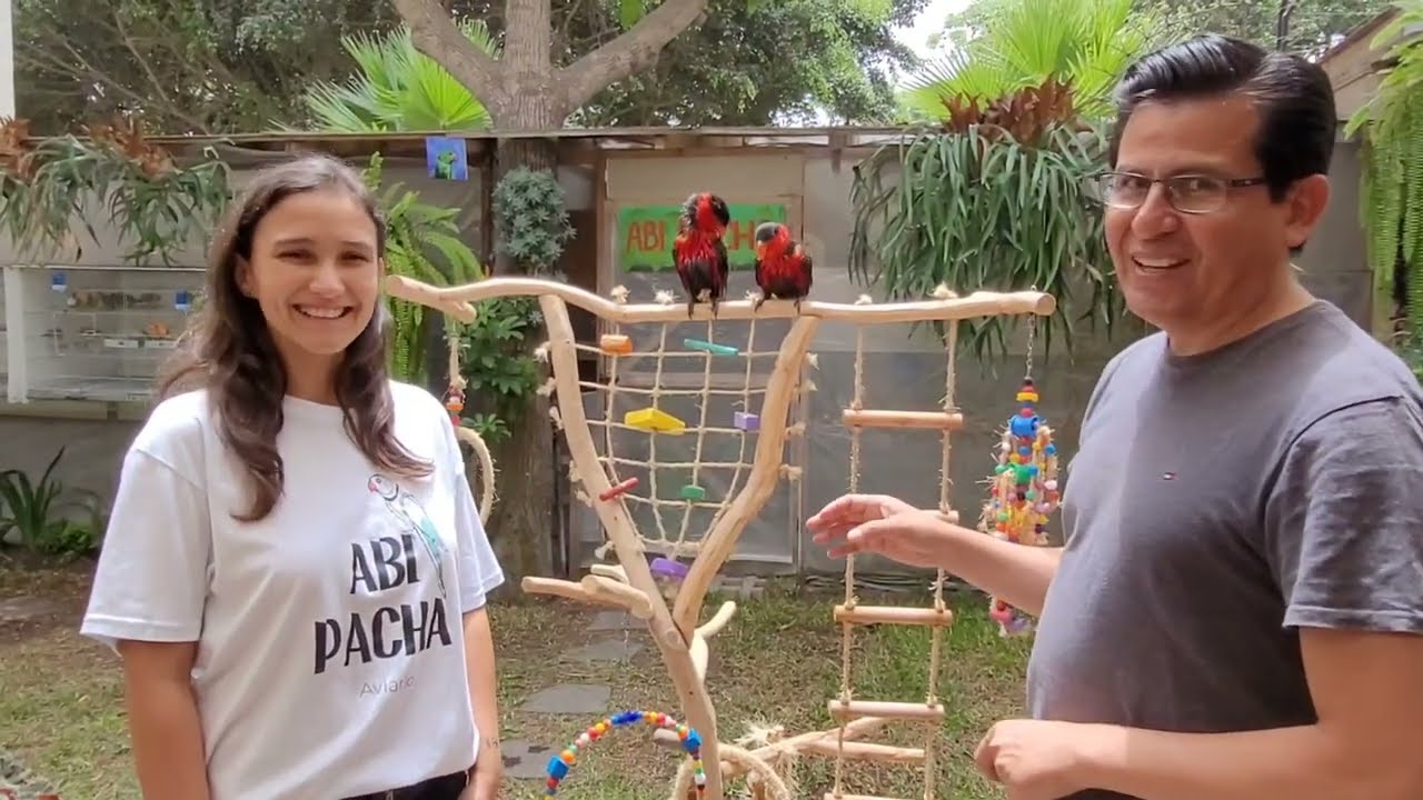Abi Pacha... Yacos, Loris, Kramers y mucho más