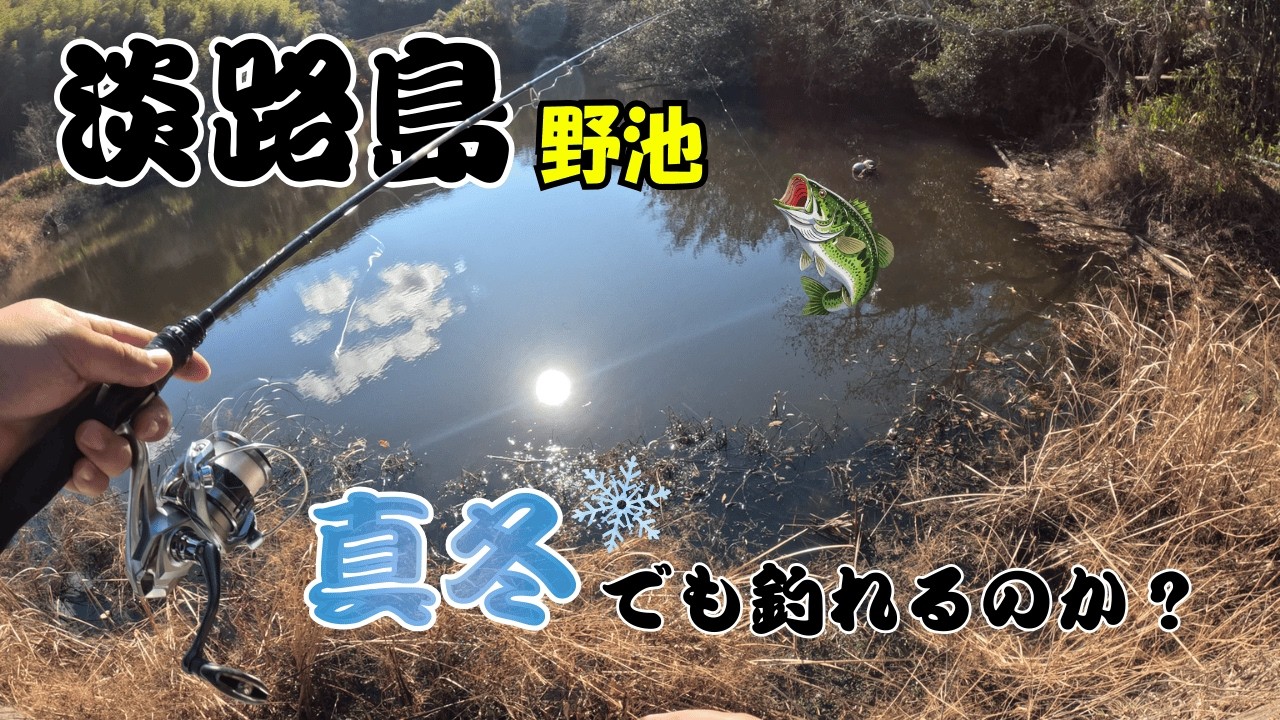 【真冬の波介川】初場所でバスを釣れるのか？#willitbite #バス釣り