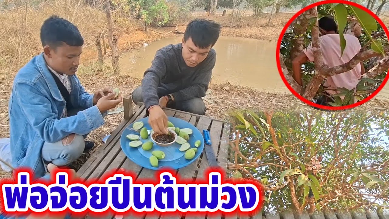 พ่อจอยลำบากเพราะทีมงานแท้ๆ‼️23 กุมภาพันธ์ ค.ศ. 2026
