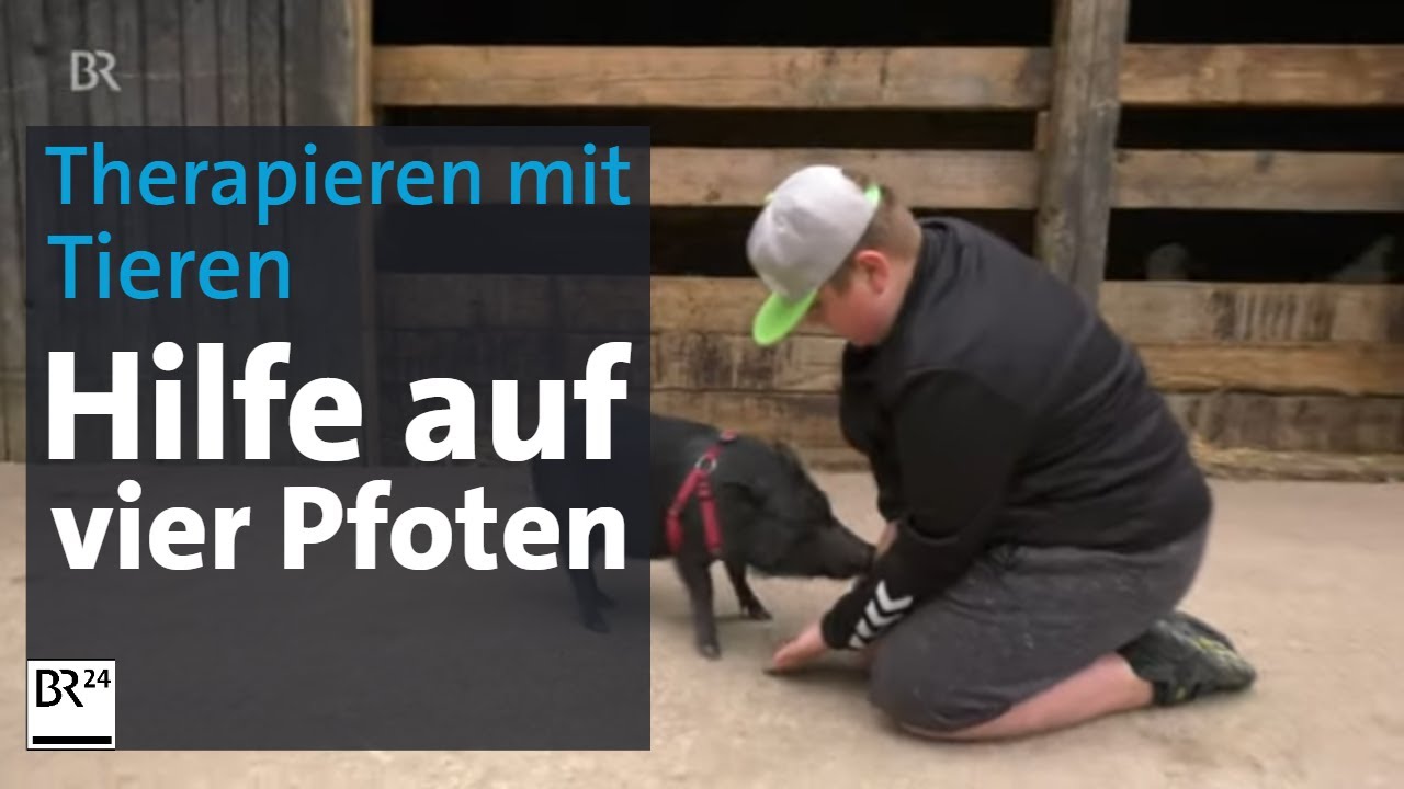 Therapieren mit Tieren: fordernd und förderlich für Kinder und Jugendliche | Abendschau | BR24