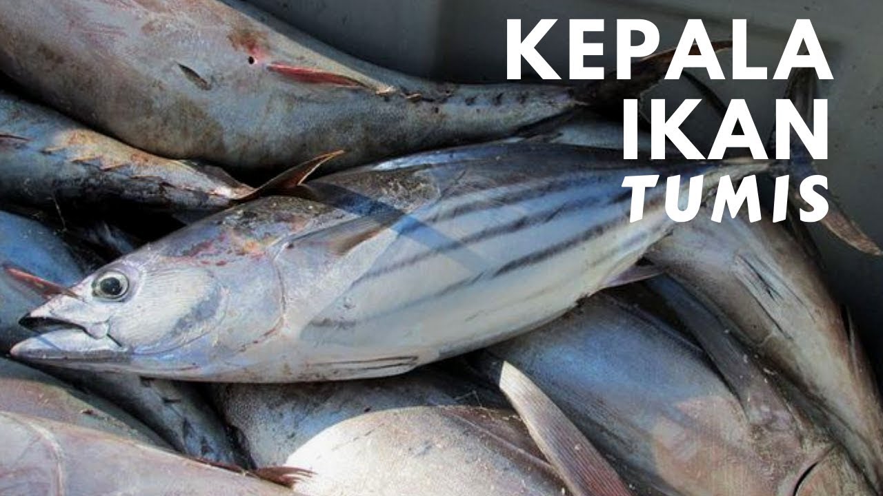 Kepala Ikan Tumis dan Pepes Udang Khas Pidie yang Bikin Ngiler