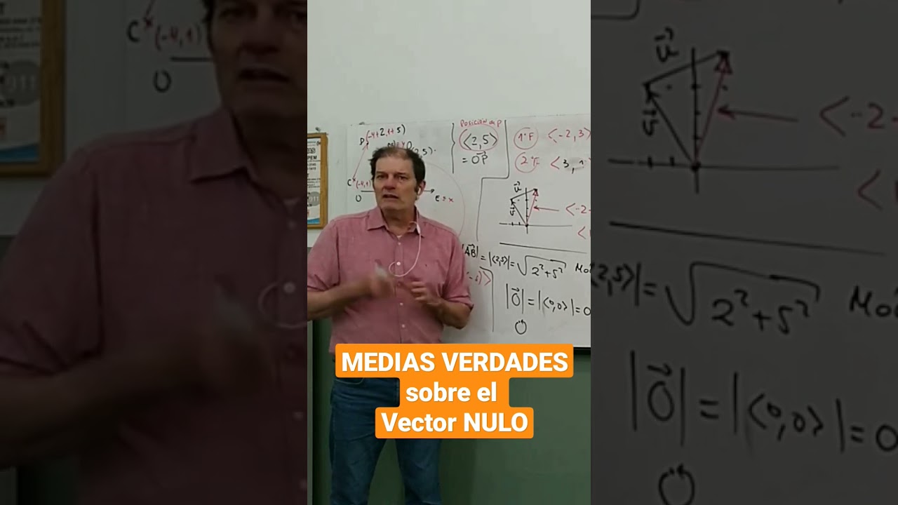 no te lo dijeron sobre el VECTOR NULO