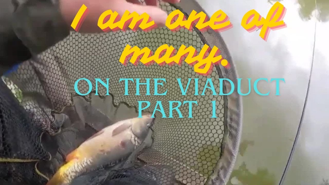 Viaduct Fishery , Somerset. Part  1