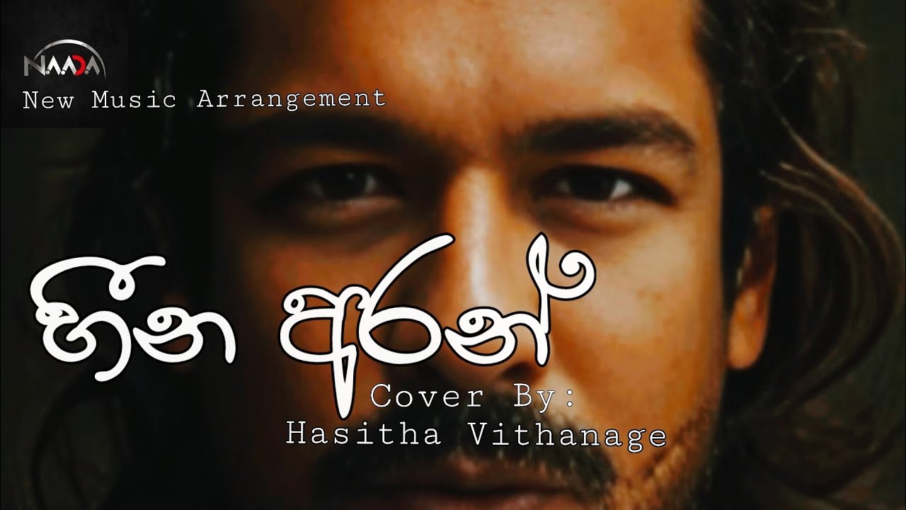 හීන අරන් | Heena Aran | Hasith Eranda Vithanage | Cover song