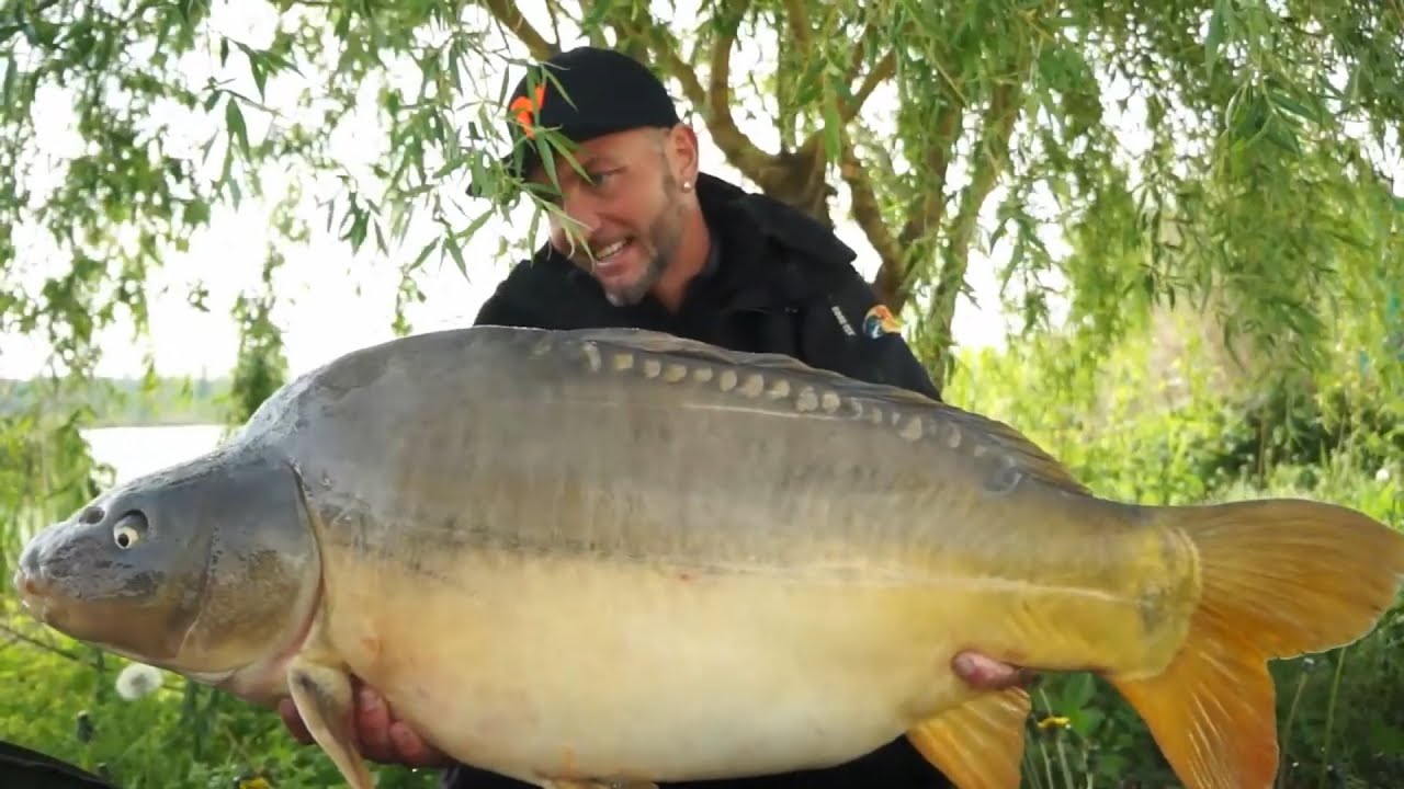 FEEDERMANIA - Feederbottal a Don Carp Lake -n