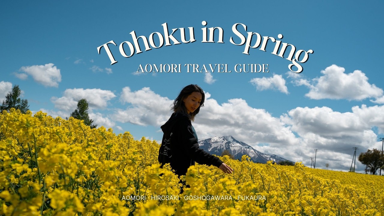 Charms of Aomori | Oirase Gorge, Nokkedon, Hirosaki, Tachineputa Travel Highlights | 東北 VLOG