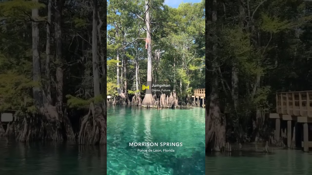 Morrison springs jump
