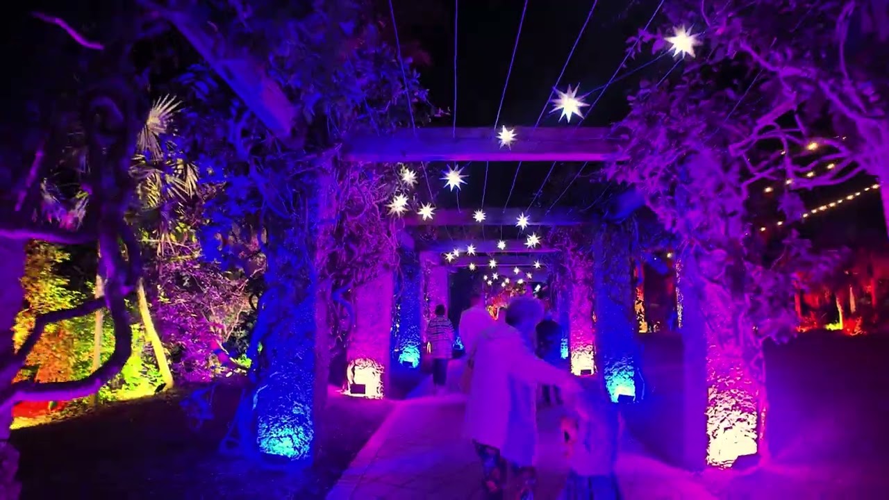 Johnsonville Night Lights in the Garden