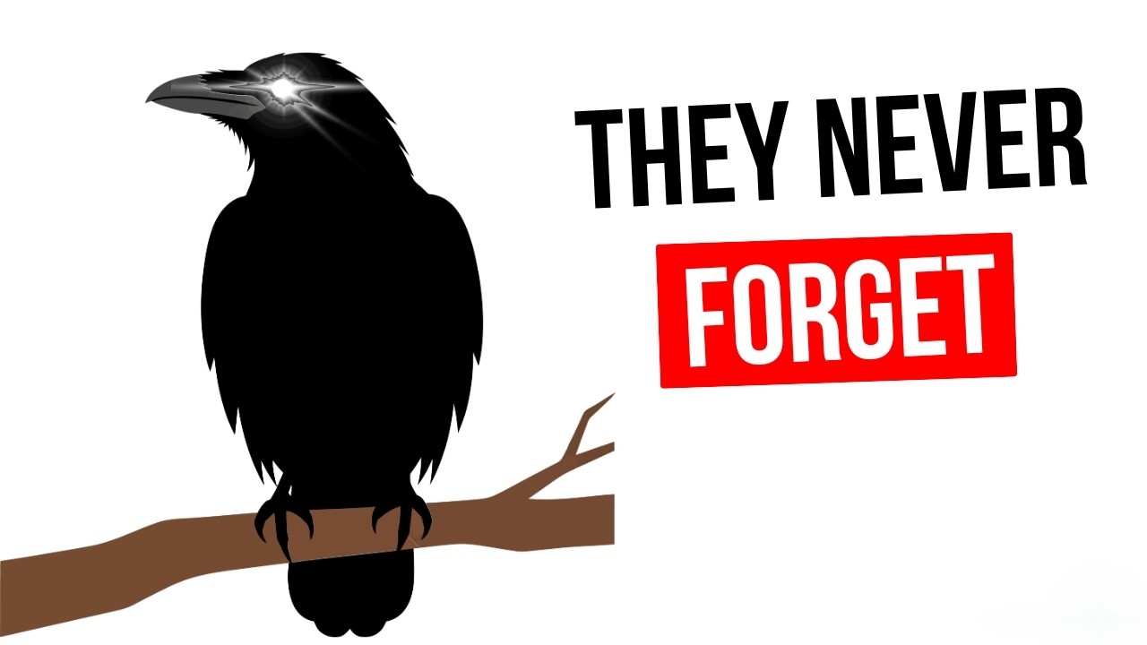 Psychology Of Being Watched | Social Memory & Collective Intelligence