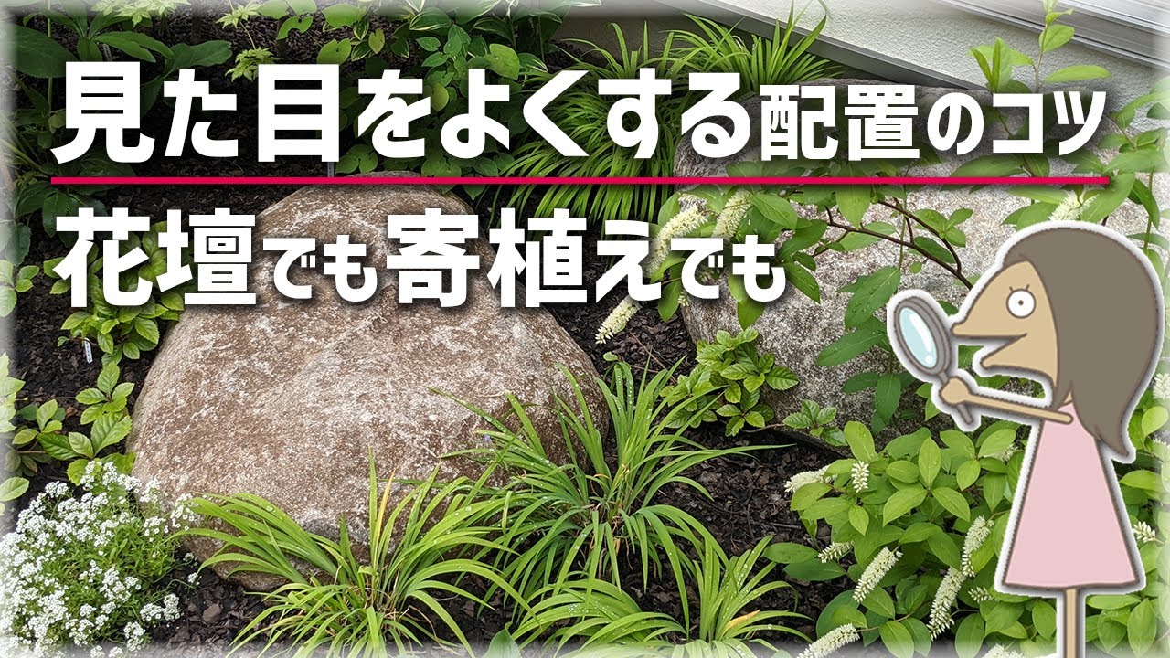 見た目を良くする植物配置のコツ【お庭計画編-34】