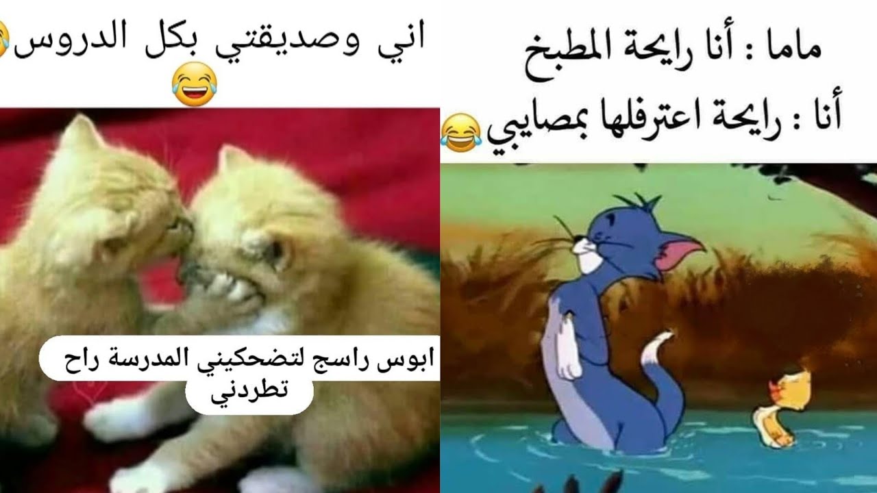 تحدي الملل | تحشيش كوميدي وبوستات فيسبوكية وأنستغرامية مضحكة... الجزء 612