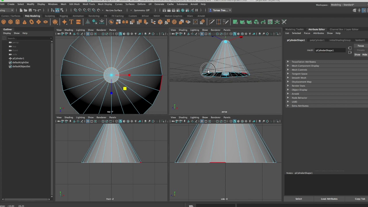 S02E01 - Modelling a Tree