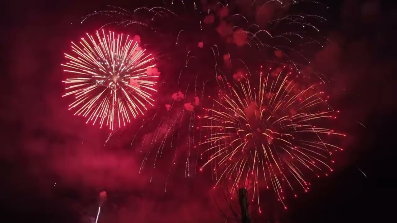 Beautiful Firecracker 💥🧨#firecracker #fireworks #happynewyear #newyear #2026