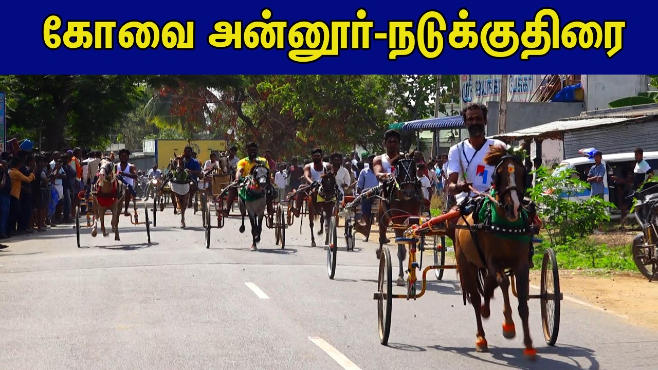 horse race covai - 15.08.23