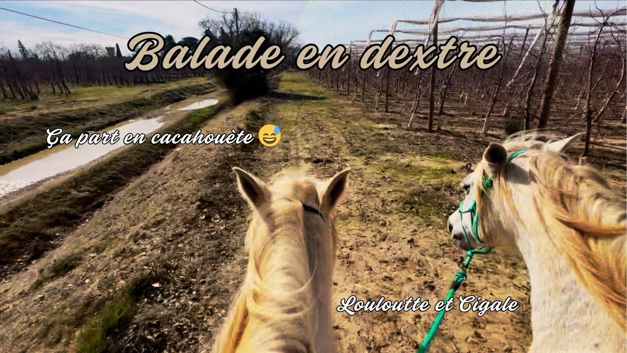 Une balade riche en émotions !